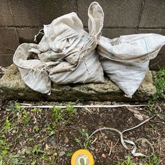 庭に使える長方形の敷石⑨