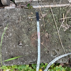 庭に使える長方形の敷石⑩の画像