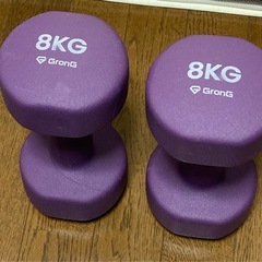 8Kg　ダンベル２本