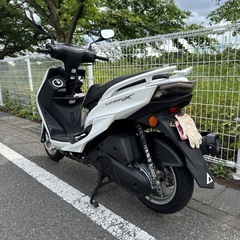シグナスXの画像
