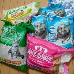 猫砂