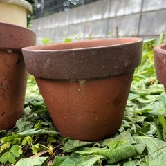 素焼き植木鉢③の画像