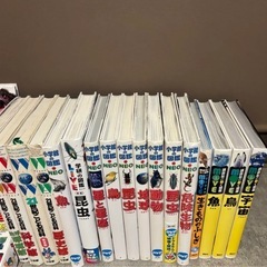 決定済み⭐︎プレneo 小学館の図鑑　恐竜図鑑　乗り物しくみ図鑑セット　ネオの画像