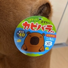 新品🏷️付き✨️ぬいぐるみ(՞-ω-՞)の画像