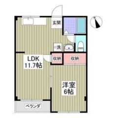 💛🧡初期費用5万円パック＆フリーレント1ヶ月付き🧡💛敷礼ゼロ✨秋...
