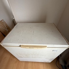 エレクトロラックス　業務用　冷凍庫