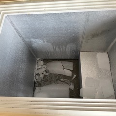 エレクトロラックス　業務用　冷凍庫の画像