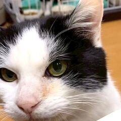 【三太♂】大人しいイケメン