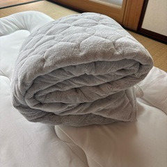 ニトリ 敷きパッド SDの画像