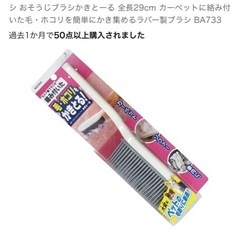 カーペットのほこりとりの画像