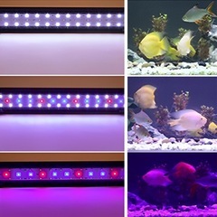 【新品&美品セット】LEDライト2本 60cm用の画像