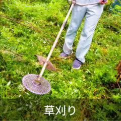 【土日限定】お庭の草刈り、ツツジなどの剪定作業、畑の草刈り、農作...