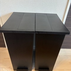 2個セット　KEYUCA両開きダストボックス LL（42L）ブラック ゴミ箱の画像
