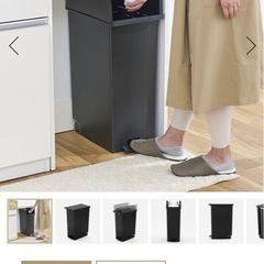 2個セット　KEYUCA両開きダストボックス LL（42L）ブラ...