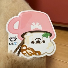 テディベア　くま　の画像