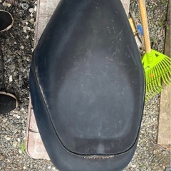ライブディオ　シート　シートボックス　の画像