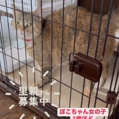 ぽこちゃん💕人大好き💕