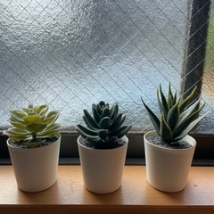 IKEA 観葉植物 雑貨