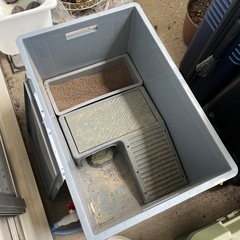タートルタンク 亀 水槽 大型 カメ用水槽 飼育ケース60x40x23cmの画像