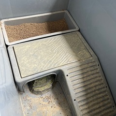 タートルタンク 亀 水槽 大型 カメ用水槽 飼育ケース60x40x23cmの画像