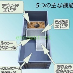 タートルタンク 亀 水槽 大型 カメ用水槽 飼育ケース60x40x23cmの画像