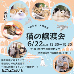 ６／２２保護猫譲渡会　名古屋市