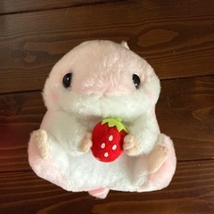 ころはむコロン ST ももちゃん いちご