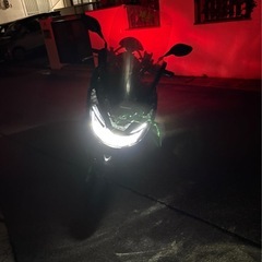 pcx56   