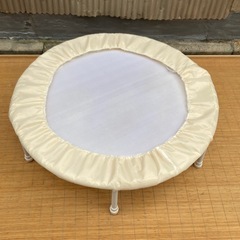 家庭用トランポリン