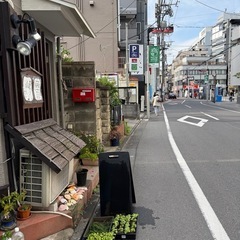 フウセンカズラ苗ポット・ローズマリー切り枝の画像