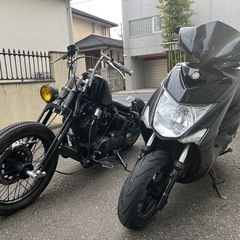 シグナスx 族ヘル白セットの画像