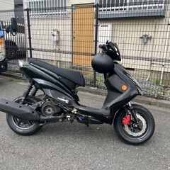 シグナスx 族ヘル白セットの画像