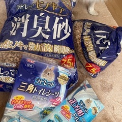 うさぎ　ペット用品　ペット