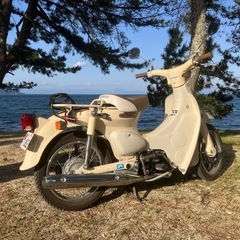 ホンダ　リトルカブの画像