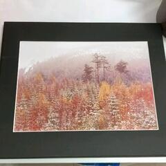 0602-160 【無料】 写真
