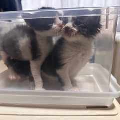 なんとか大きくなってます🫶💕