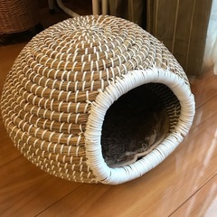 猫用 にゃんこのちぐらシリーズ まーるいつぼ 夢 1個 ドギーマン