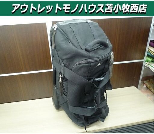 人気 【第四種郵便】ジャイアントモスキリン付き流木とジャイアント