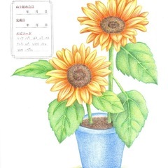 和泉市大人の塗り絵教室