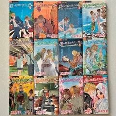 僕の初恋をキミに捧ぐ【全12巻セット】の画像