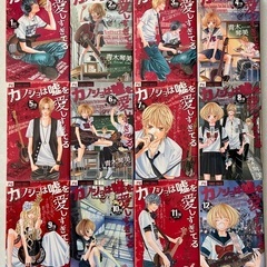 カノジョは嘘を愛しすぎてる【12巻セット+付録冊子】の画像