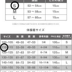 体操服  サイズ110センチ　3点セットの画像