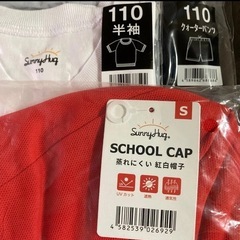 体操服  サイズ110センチ　3点セットの画像