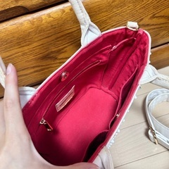 DRESSCAMP リッププリント トートバッグの画像