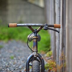 テンパーカラーバイク（子供用ストライダー）の画像