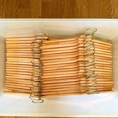 希少 天然木 木製 ウッドハンガー 44点セットの画像