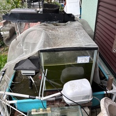 120cmアクリル板水槽