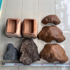 爬虫類シェルター