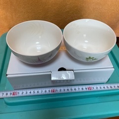 リーフ　お椀セット