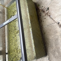 90センチ水槽の画像